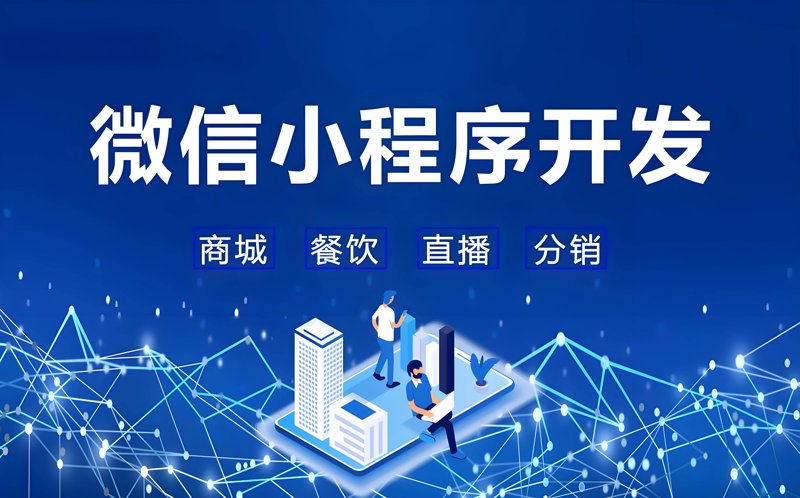 上海软件开发公司怎么选？从软件定制外包到企业信息化的实战指南